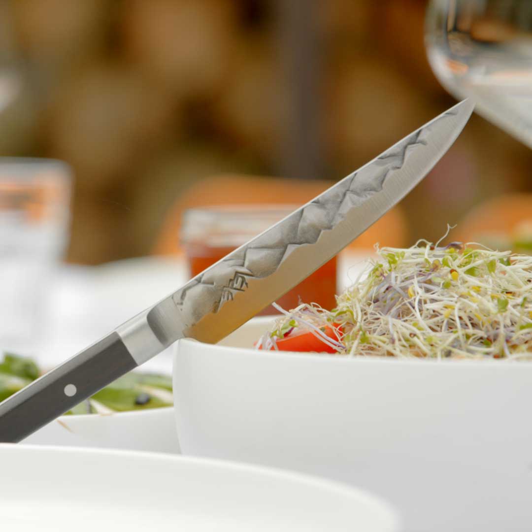 BARE Cookware steak messen set 4 stuks