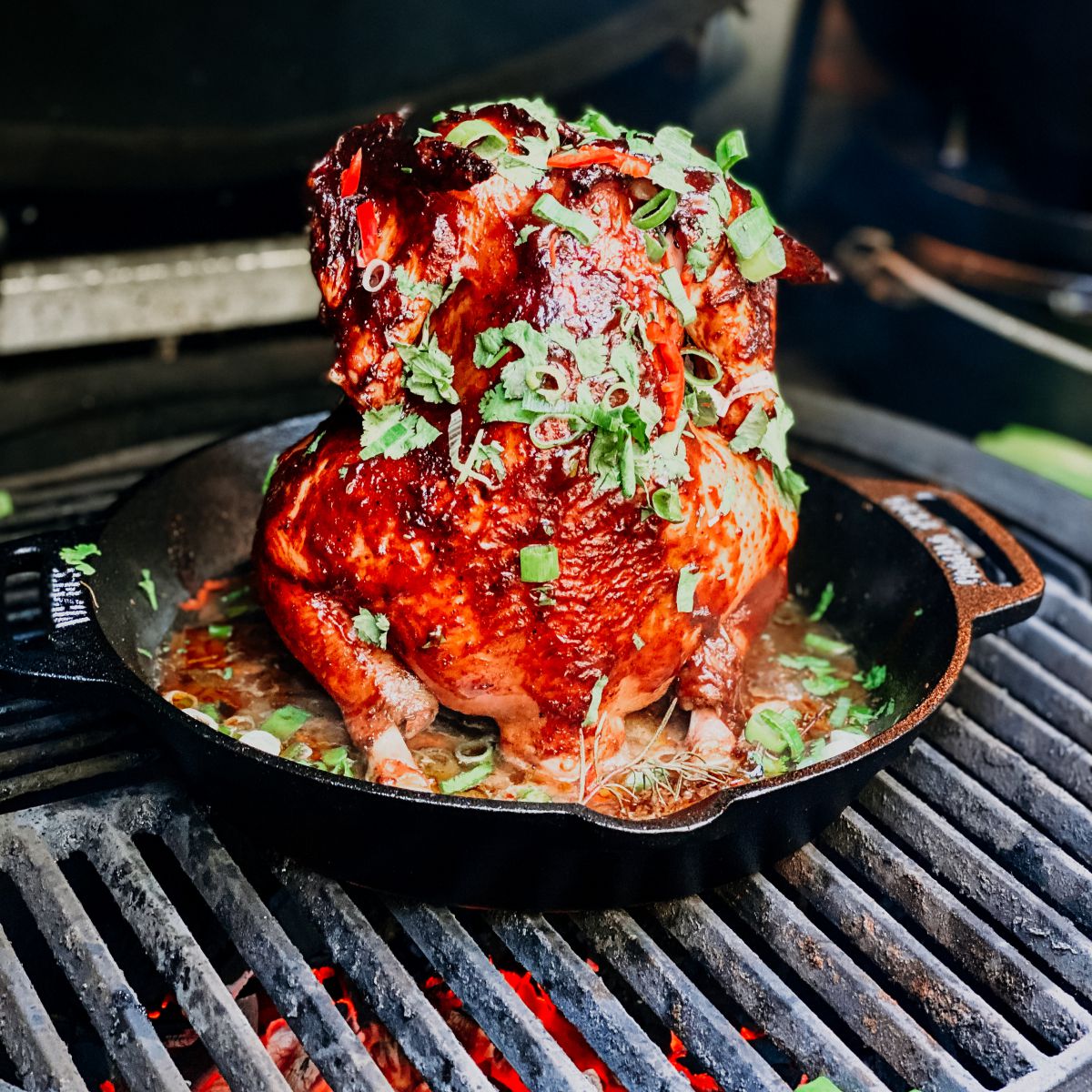 Valhal Chicken sitter